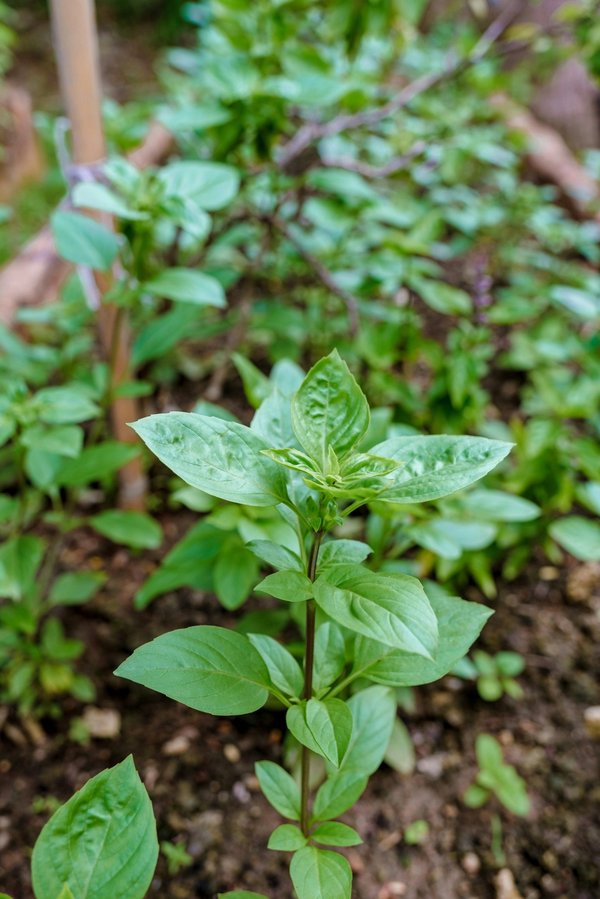 Comment choisir des vêtements en chanvre pour une garde-robe éco-responsable?